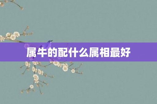 属牛的配什么属相更好