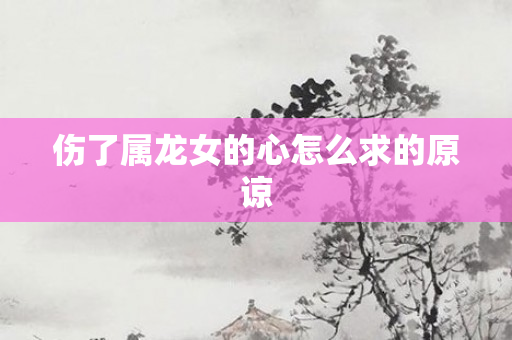 伤了属龙女的心怎么求的原谅