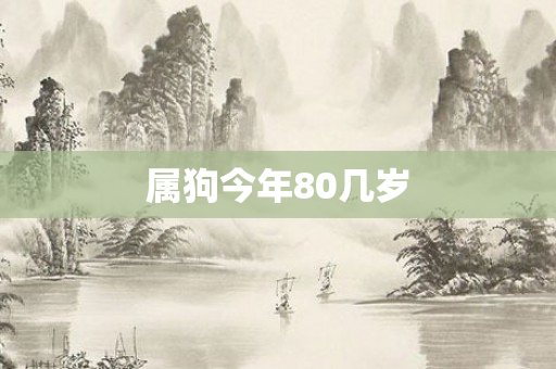 属狗今年80几岁