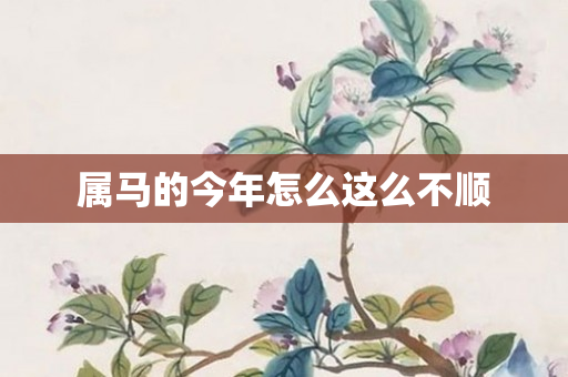 属马的今年怎么这么不顺