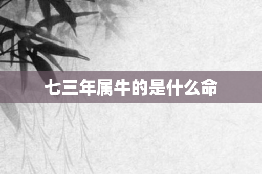 七三年属牛的是什么命