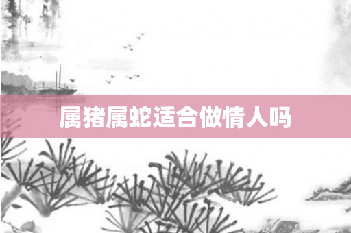 属猪属蛇适合做情人吗