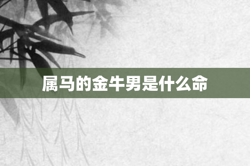 属马的金牛男是什么命