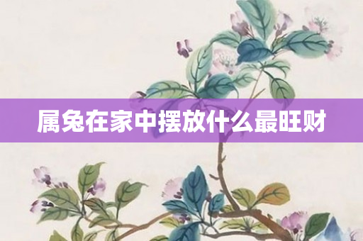 属兔在家中摆放什么最旺财