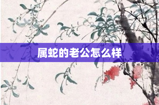 属蛇的老公怎么样