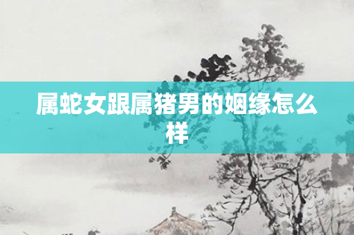 属蛇女跟属猪男的姻缘怎么样