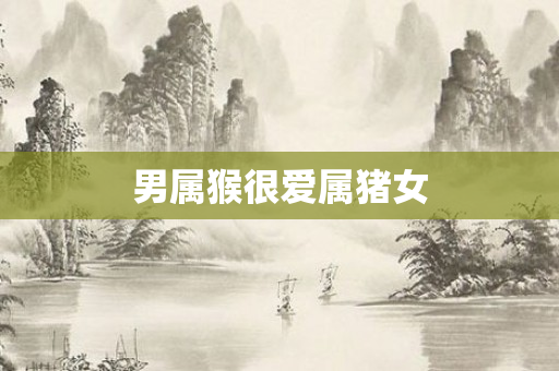 男属猴很爱属猪女