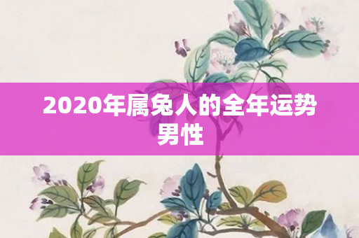 2020年属兔人的全年运势男性