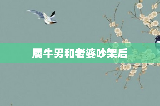 属牛男和老婆吵架后