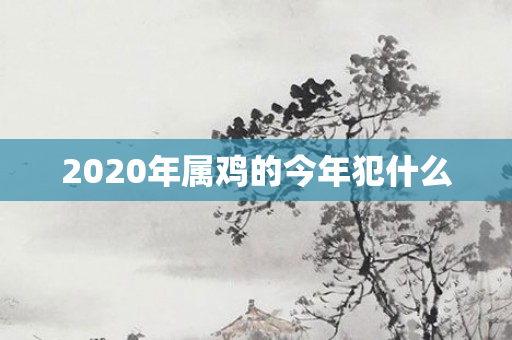 2020年属鸡的今年犯什么