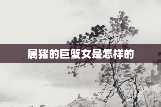 属猪的巨蟹女是怎样的