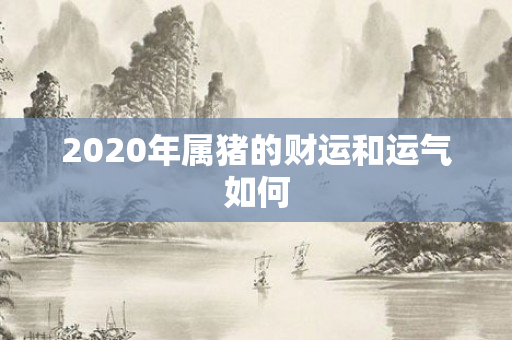 2020年属猪的财运和运气如何