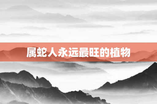 属蛇人永远最旺的植物