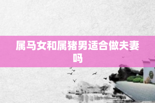 属马女和属猪男适合做夫妻吗