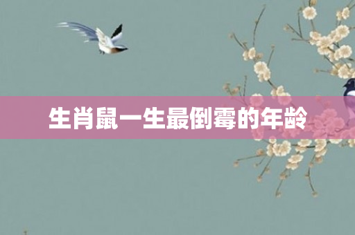 生肖鼠一生最倒霉的年龄