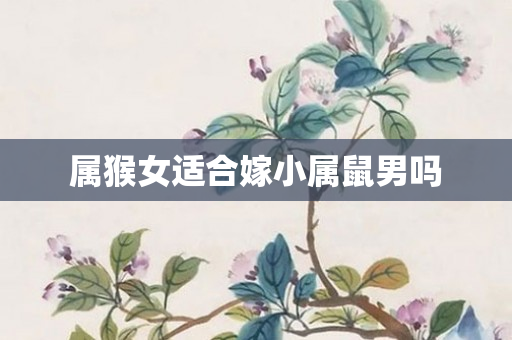属猴女适合嫁小属鼠男吗