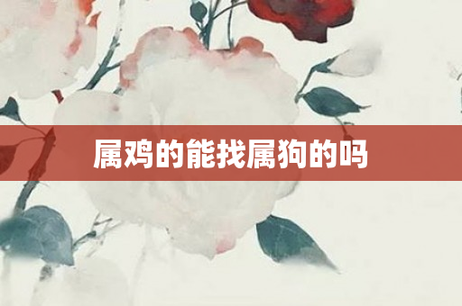 属鸡的能找属狗的吗