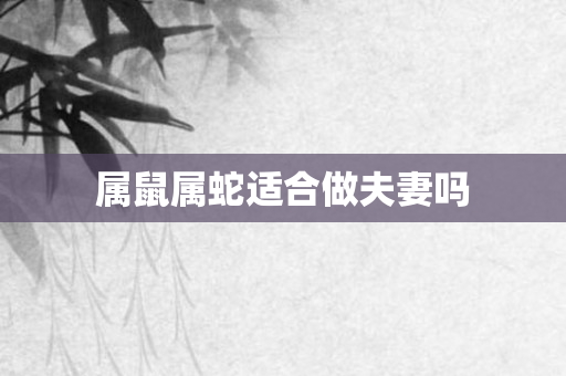 属鼠属蛇适合做夫妻吗