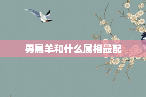 男属羊和什么属相最配