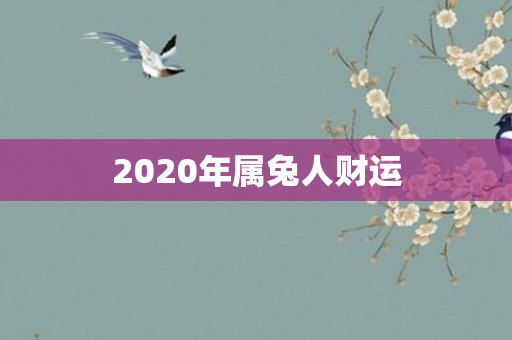 2020年属兔人财运