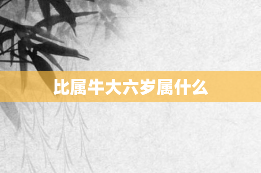 比属牛大六岁属什么