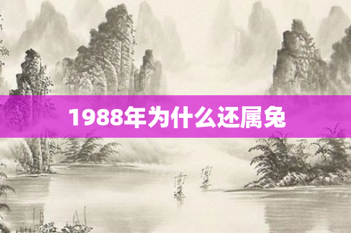 1988年为什么还属兔