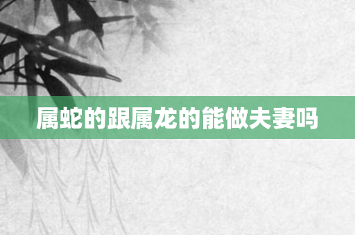 属蛇的跟属龙的能做夫妻吗