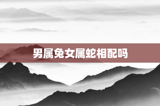 男属兔女属蛇相配吗