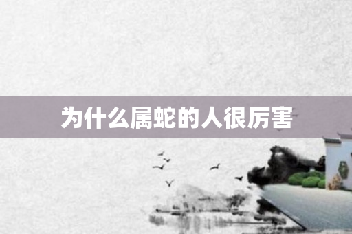 为什么属蛇的人很厉害