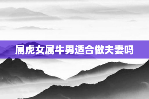 属虎女属牛男适合做夫妻吗