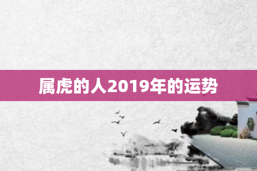 属虎的人2019年的运势