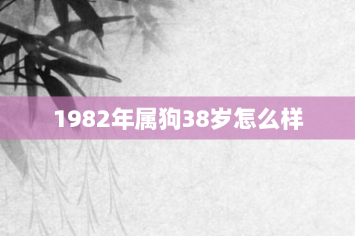 1982年属狗38岁怎么样