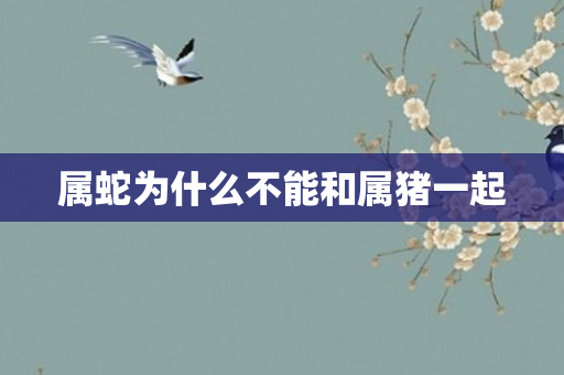 属蛇为什么不能和属猪一起