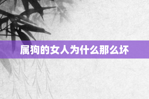 属狗的女人为什么那么坏