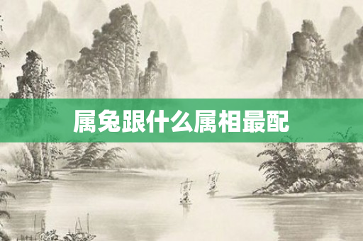 属兔跟什么属相最配