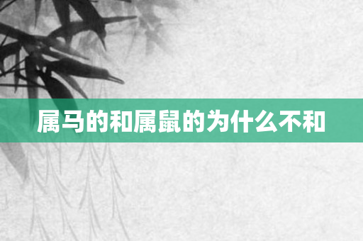 属马的和属鼠的为什么不和