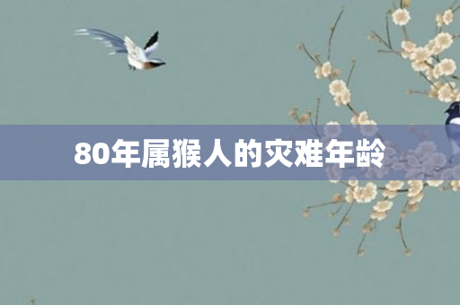 80年属猴人的灾难年龄