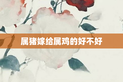属猪嫁给属鸡的好不好
