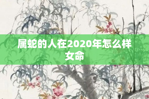 属蛇的人在2020年怎么样女命