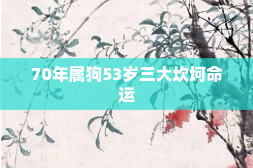 70年属狗53岁三大坎坷命运