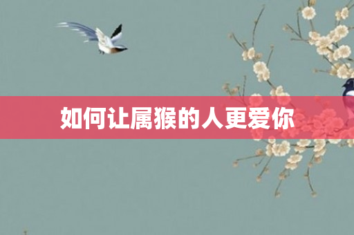 如何让属猴的人更爱你
