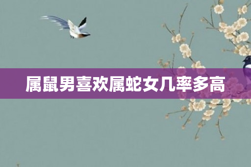 属鼠男喜欢属蛇女几率多高