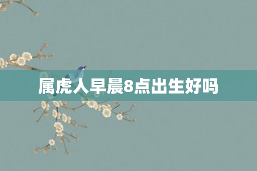 属虎人早晨8点出生好吗