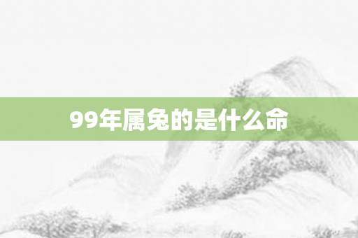 99年属兔的是什么命