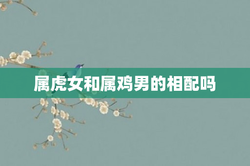 属虎女和属鸡男的相配吗