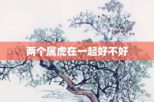 两个属虎在一起好不好