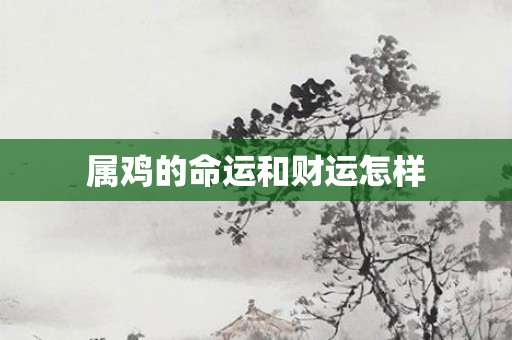 属鸡的命运和财运怎样