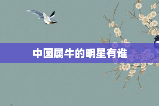 中国属牛的明星有谁