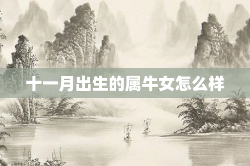 十一月出生的属牛女怎么样