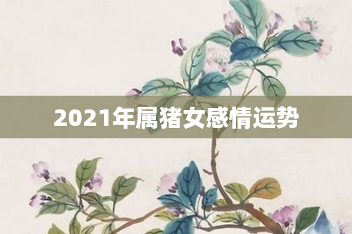 2021年属猪女感情运势